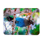 Seller's Jay - Originele Foto Magneet (Horizontaal)