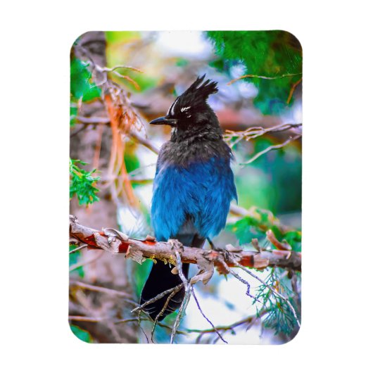 Seller's Jay - Originele Foto Magneet (Verticaal)
