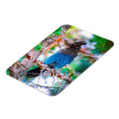 Seller's Jay - Originele Foto Magneet (Linkerzijde)