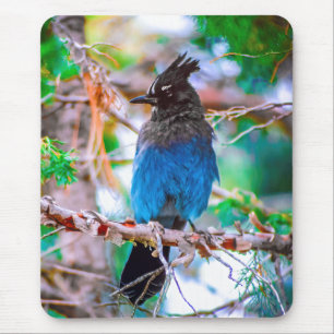 Seller's Jay - Originele Foto Muismat