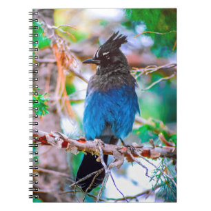 Seller's Jay - Originele Foto Notitieboek