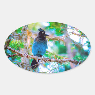 Seller's Jay - Originele Foto Ovale Sticker