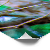 Seller's Jay - Originele Foto Perfect Poster (Hoek)