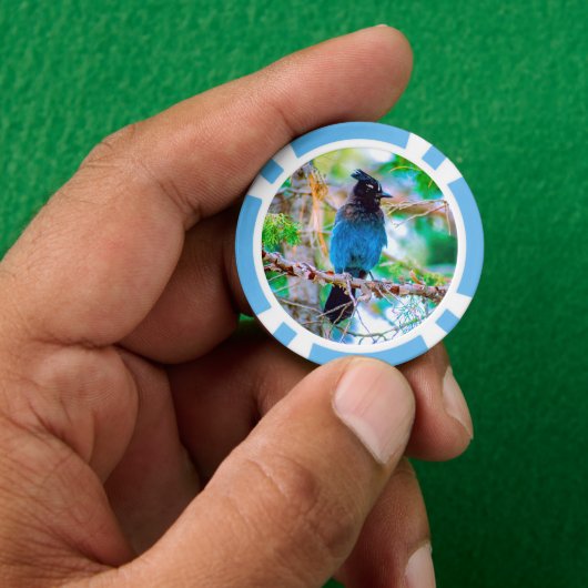 Seller's Jay - Originele Foto Poker Chips (Hand)