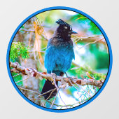 Seller's Jay - Originele Foto Raamsticker (Vel)
