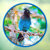 Seller's Jay - Originele Foto Raamsticker (Vel 3)