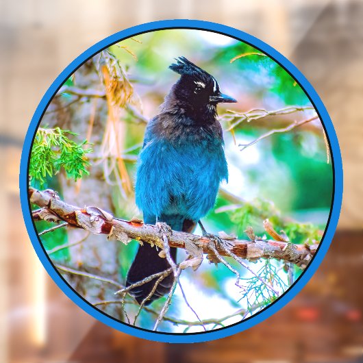 Seller's Jay - Originele Foto Raamsticker (Vel 2)