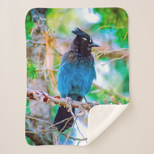 Seller's Jay - Originele Foto Sherpa Deken (Voorkant)