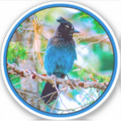 Seller's Jay - Originele Foto Sticker (Voorkant)