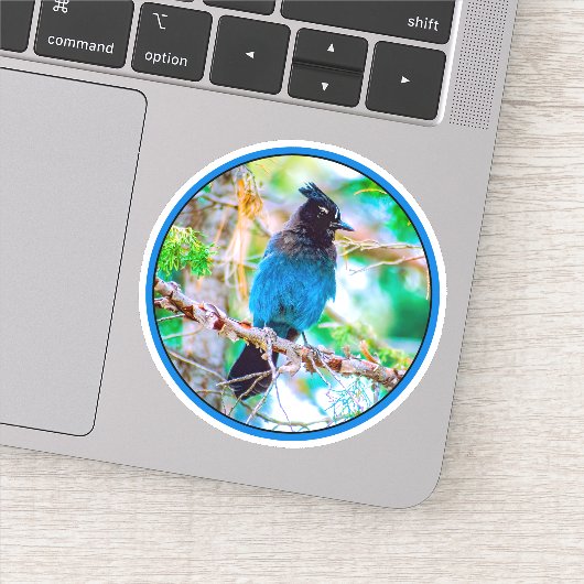 Seller's Jay - Originele Foto Sticker (Detail)