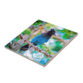 Seller's Jay - Originele Foto Tegeltje (Zijkant)