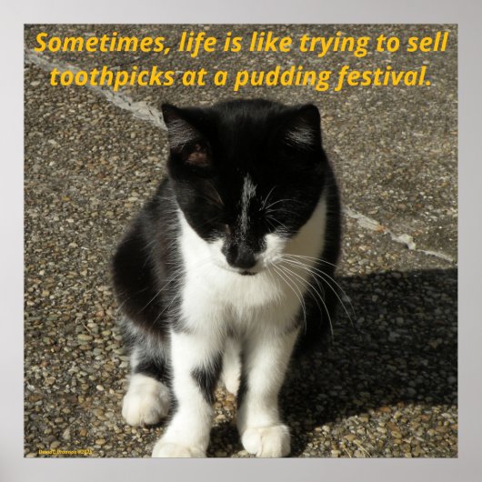 Selling toothpicks at a pudding festival... poster (Voorkant)