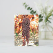 Selma Pete DOV Raisin Grapes Briefkaart (Staand voorkant)