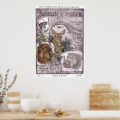 "-Selmar Hess -1898-Animate Creation" Poster (Keuken)