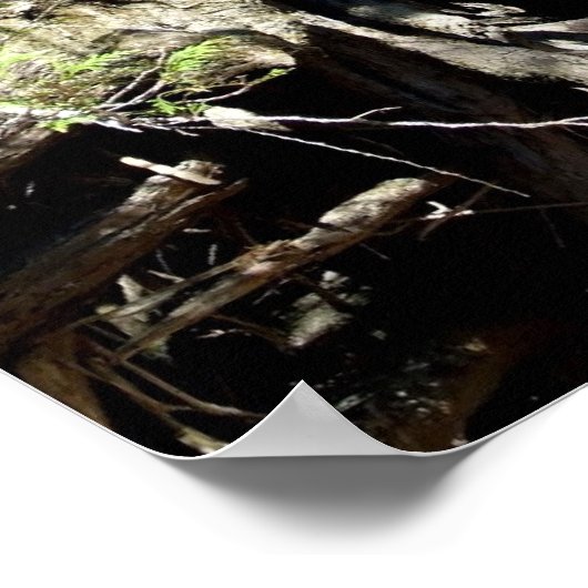 Selway Poster (Hoek)