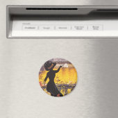 Semaine d'Aviation de Lyon Magneet (Insitu (Vaatwasser))