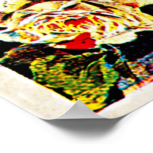 Semaine d'Aviation de Lyon Poster (Hoek)