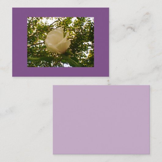 Semi Gloss White Rose Bloom Visitekaartje (Voorkant / Achterkant)