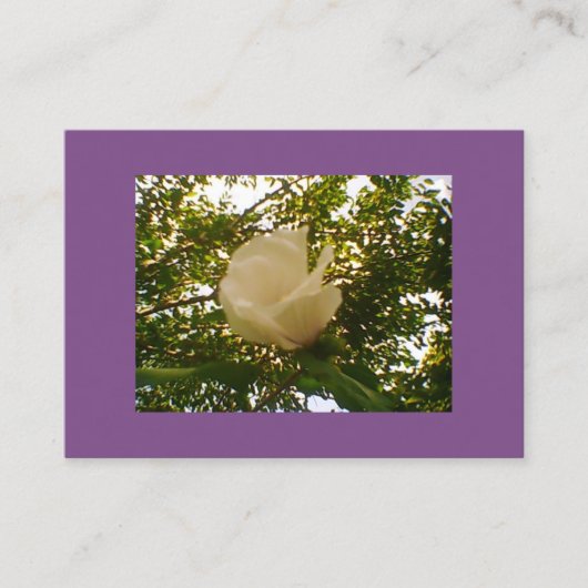 Semi Gloss White Rose Bloom Visitekaartje (Voorkant)