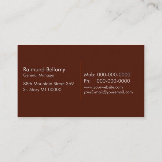 Semi Truck Trucking en Logistiek Visitekaartje (Achterkant)