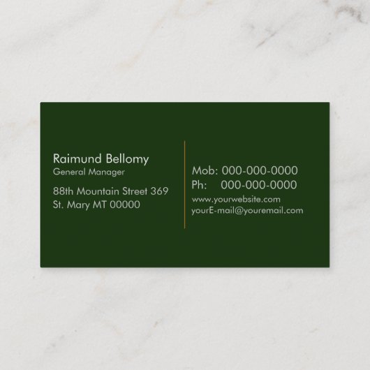 Semi Truck Trucking en Logistiek Visitekaartje (Achterkant)