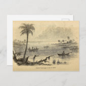 Seminolen op de St. Johns River Briefkaart (Voorkant / Achterkant)