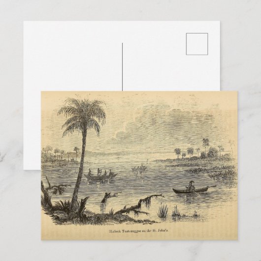 Seminolen op de St. Johns River Briefkaart (Voorkant / Achterkant)
