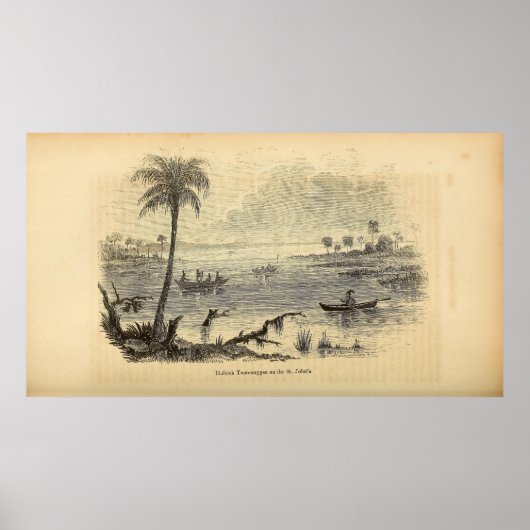 Seminolen op de St. Johns River Poster (Voorkant)