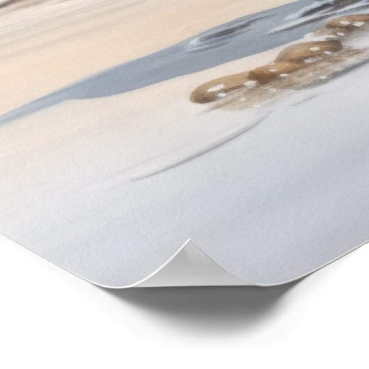 Semipalmated Plover Bird Art Print Poster (Hoek)