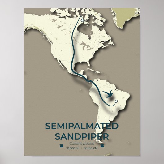 Semipalmated Sandpiper Migration Map – Minimalisti Poster (Voorkant)