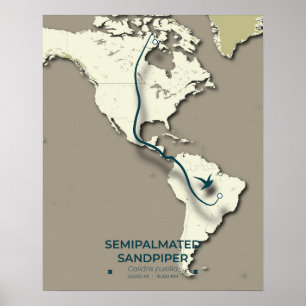 Semipalmated Sandpiper Migration Map – Minimalisti Poster