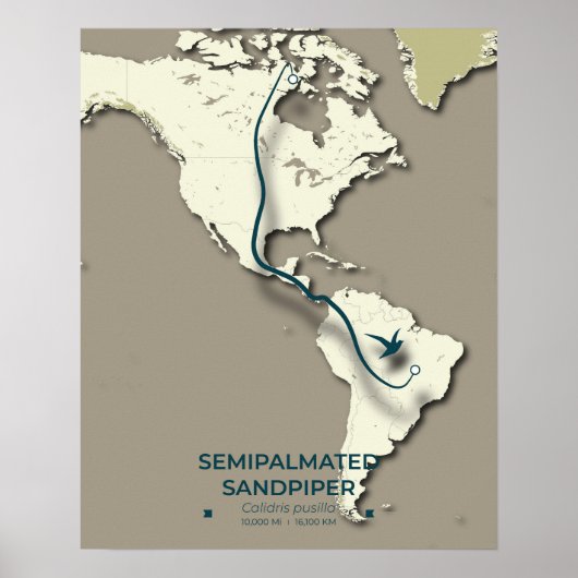 Semipalmated Sandpiper Migration Map – Minimalisti Poster (Voorkant)