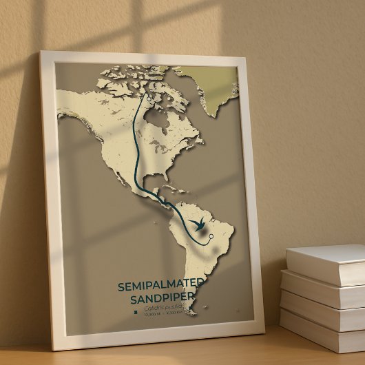 Semipalmated Sandpiper Migration Map – Minimalisti Poster