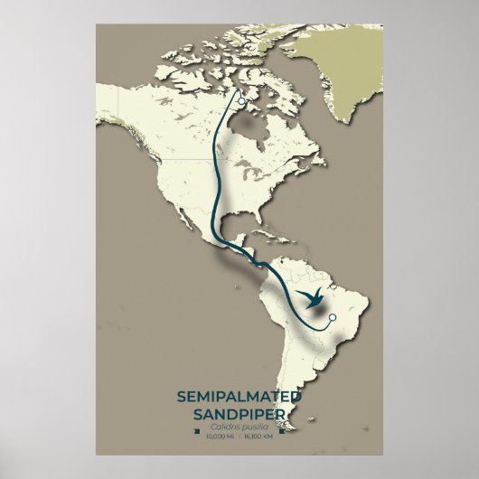 Semipalmated Sandpiper Migration Map – Minimalisti Poster (Voorkant)