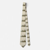 Semipalmeerde Sandpiper, Amerikaanse vogels van Au Stropdas (Voorkant)