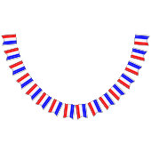 Semiquincentennial Stars & Stripes 250th Vlaggetjes (Alle)