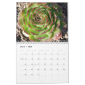 Sempervivum en Jovibarba Kalender (Mar 2026)