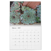 Sempervivum en Jovibarba Kalender (Feb 2027)