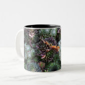 Sempervivum-Mok Tweekleurige Koffiemok (Voorkant links)