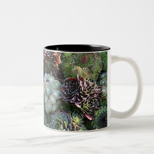 Sempervivum-Mok Tweekleurige Koffiemok (Rechts)