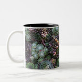 Sempervivum-Mok Tweekleurige Koffiemok (Links)