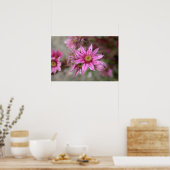 Sempervivum tectorum poster (Keuken)