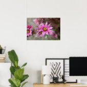 Sempervivum tectorum poster (Thuiskantoor)