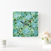 sempervivum vierkante klok (Huis)