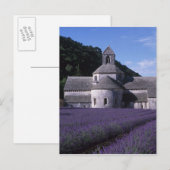 Senanque Abbey, Gordes, Vaucluse, Provence, 2 Briefkaart (Voorkant / Achterkant)