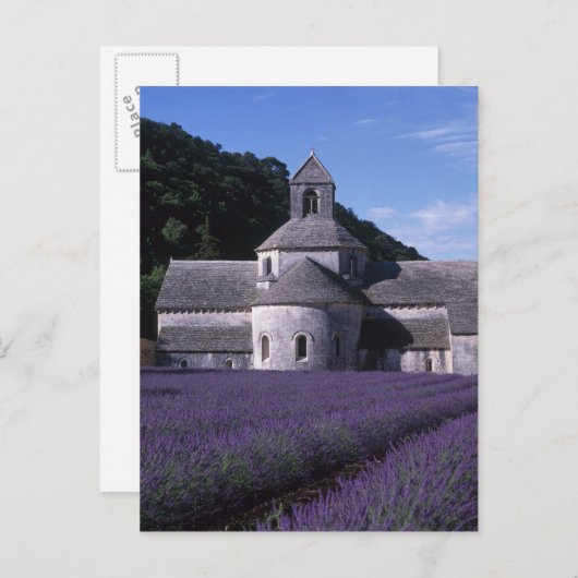 Senanque Abbey, Gordes, Vaucluse, Provence, 2 Briefkaart (Voorkant / Achterkant)