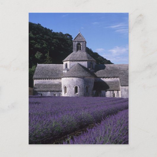 Senanque Abbey, Gordes, Vaucluse, Provence, 2 Briefkaart (Voorkant)