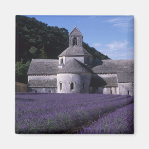 Senanque Abbey, Gordes, Vaucluse, Provence, 2 Magneet