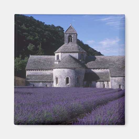 Senanque Abbey, Gordes, Vaucluse, Provence, 2 Magneet (Voorkant)