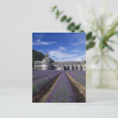 Senanque Abbey, Gordes, Vaucluse, Provence Briefkaart (Staand voorkant)